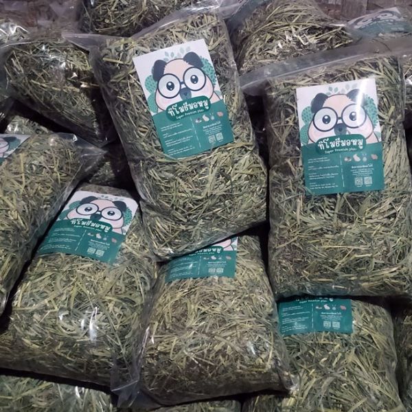 Nutritious Guinea Pig Food for Happy Healthy Pets