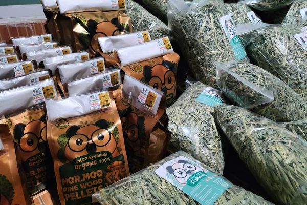 Premium Pet Food for Your Guinea Pig