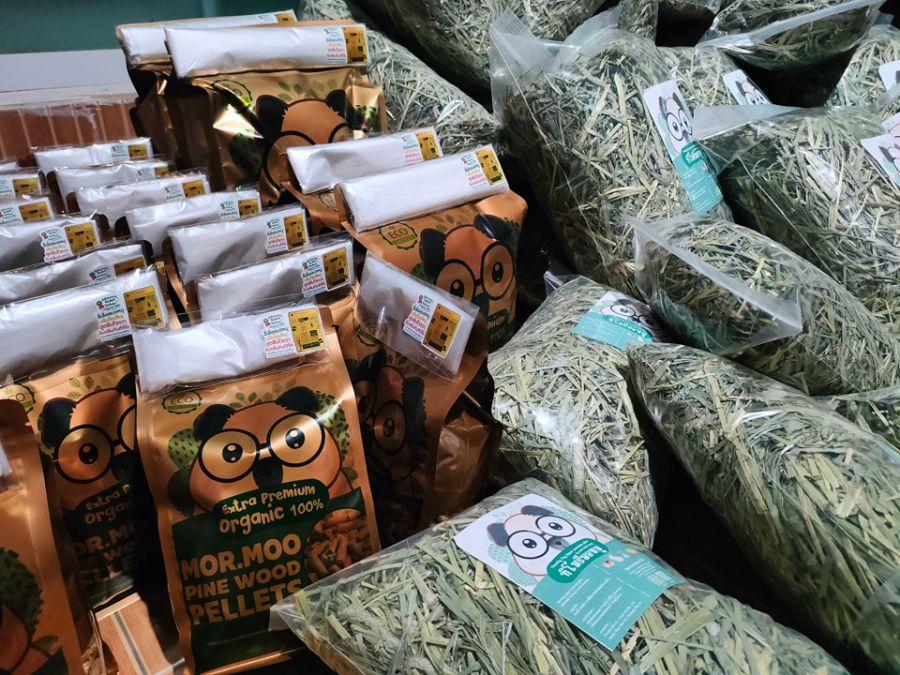 Premium Pet Food for Your Guinea Pig